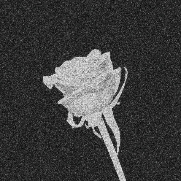 New beat ‘Roses’ up on SoundCloud on Spotify